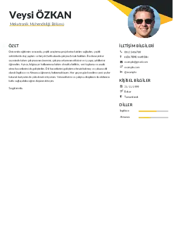 Mekatronik Mühendisliği Cv Örnekleri cv indir